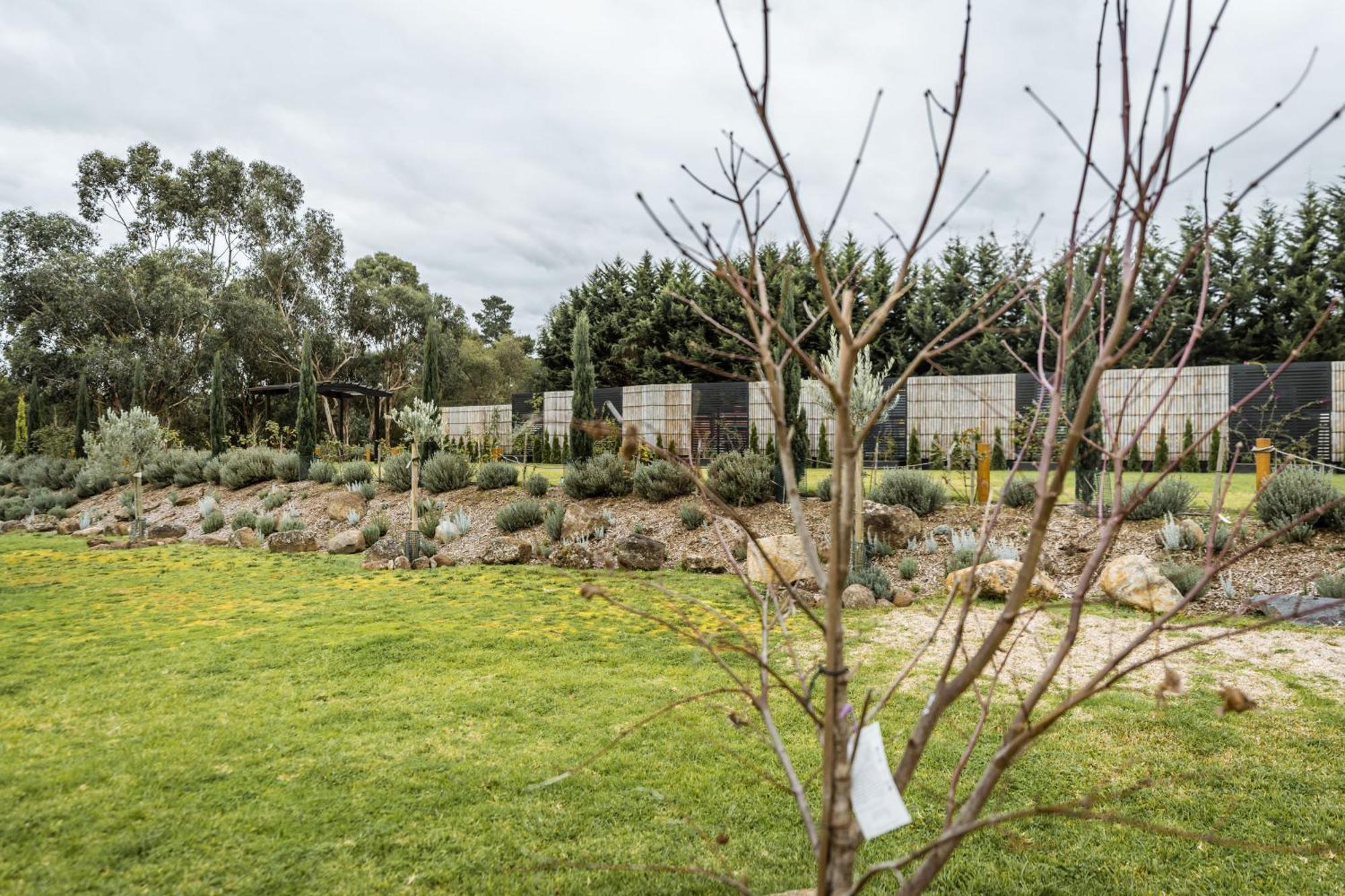 Hotel Foothills Lilydale Exterior foto